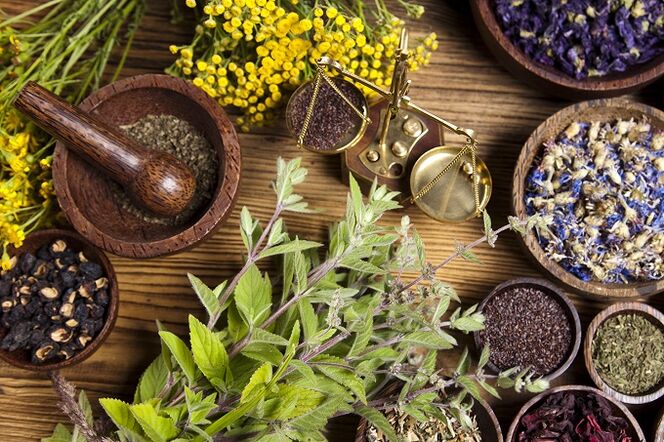 Hierbas para eliminar parásitos del cuerpo.