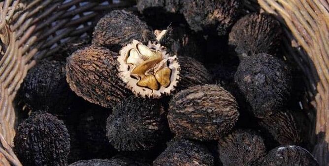 Nuez negra para tratar los parásitos del cuerpo.