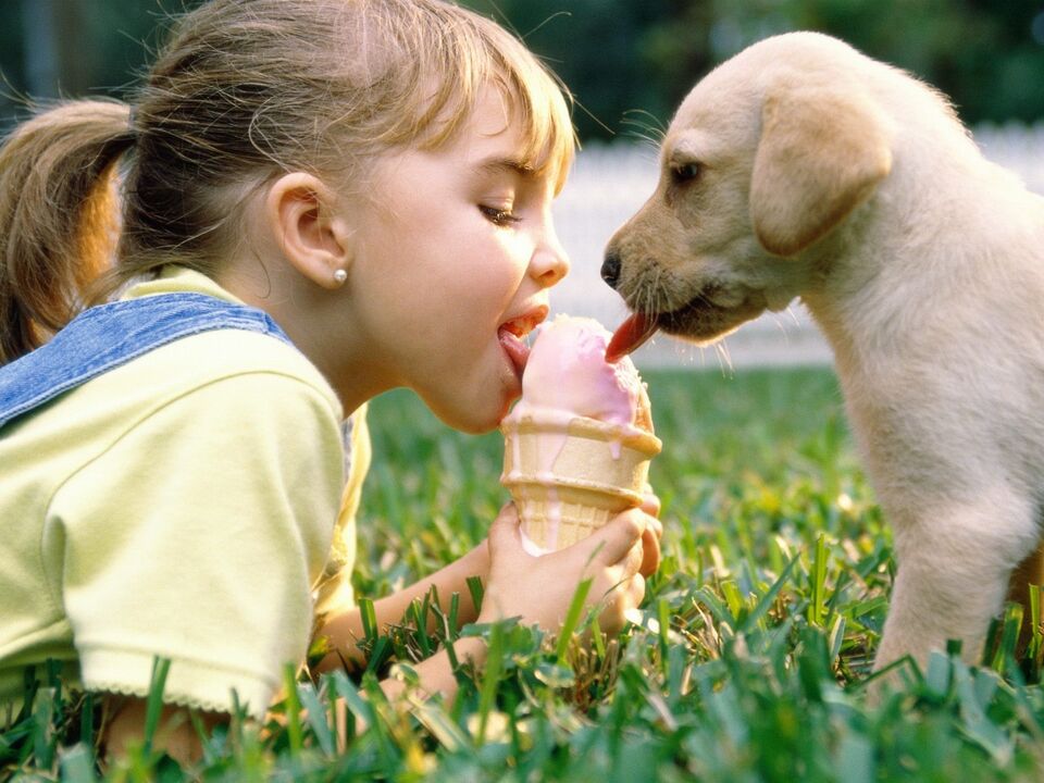 Niña y perro comen helado y se infectan de parásitos